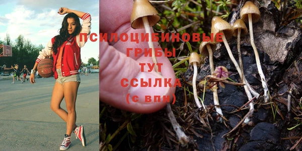 apvp Беломорск