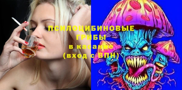 таблы Белокуриха