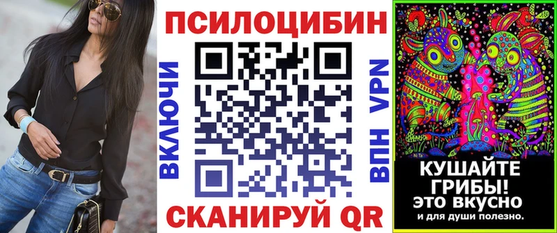 Псилоцибиновые грибы GOLDEN TEACHER Гатчина